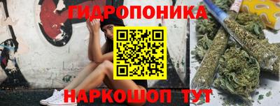 СК Гусев